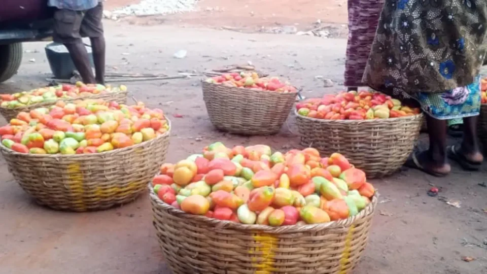 Tomate